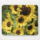 Search for sun shining electronics Flower