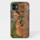 Recherche de kenya iphone coques Animal