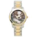Search for cavalier watches Puppies