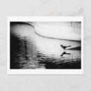 Search for water reflection postcards Nature