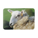 Search for sheep bath mats Animals
