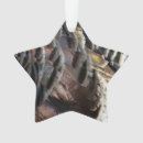 Search for wild turkey ornaments Nature