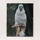 Recherche de exotique puzzles Plumes