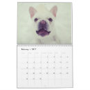 Recherche de bouledogue francais calendriers Mignon