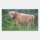 Search for heifer stickers Highland