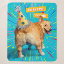 Search for corgi decor Funny animal