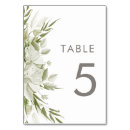 Search for lily table cards Modern