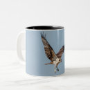 Search for osprey mugs Wildlife