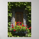 Search for window box posters Flowers