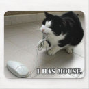 Search for lol electronics Cat