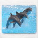 Search for bottlenose dolphin electronics Dolphins
