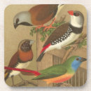 Search for cage barware Bird