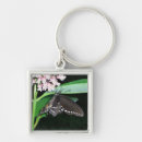 Search for black swallowtail butterfly keychains Nature