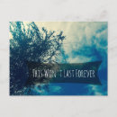 Recherche de saule pleurant cartes postales Arbre