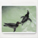 Search for christmas penguin electronics Animals
