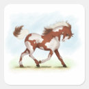 Search for overo cards invites Horse