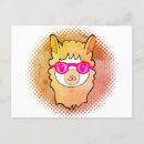 Search for llamas postcards Andes
