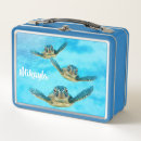 Search for sea turtle lunch boxes Ocean