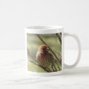 Search for little bird mugs Sparrow