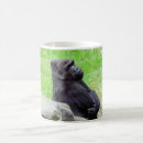 Recherche de gorilles tasses Primat