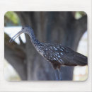 Recherche de gracieux électronique Oiseau