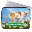 Search for fart cases Animal