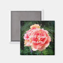 Search for flowering mums magnets Pink