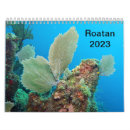 Search for honduras Roatan