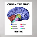 Search for organized posters Brain