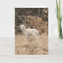 Recherche de alléluia cartes postales Vacances