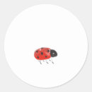 Search for red ladybug stickers Insect