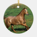 Search for appaloosa horse ornaments Bob langrish