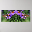 Search for wildflower abstract posters Floral