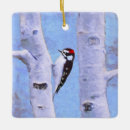 Search for woodpecker ornaments Downy