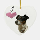 Search for jack russell dog ornaments Terrier