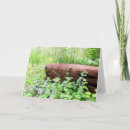 Search for blank nature cards Purple