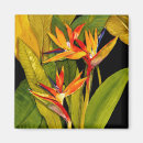 Recherche de paradis tropical magnets Botanique