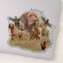 Search for vizsla dog stickers Hungarian wirehaired vizsla