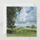 Search for thoroughbred invitations Kentucky