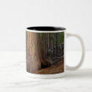 Search for sequoia tree mugs Outdoors