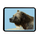 Recherche de animal sauvage magnets Nature