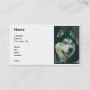 Recherche de formation de chien cartes visite Noir et blanc