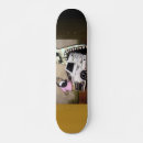 Search for me skateboards Don't