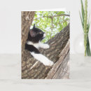 Recherche de smoking vœux cartes Chat noir et blanc