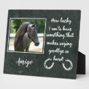 Search for horse memorial plaques Remembrance