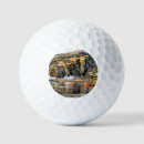 Search for wales golf equipment Harbours