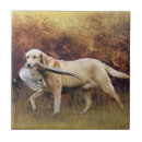 Search for pheasant tiles Hunting