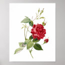 Recherche de indica Vintage