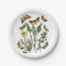 Search for butterfly plates Moth