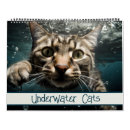 Search for maine calendars Maine coon cat